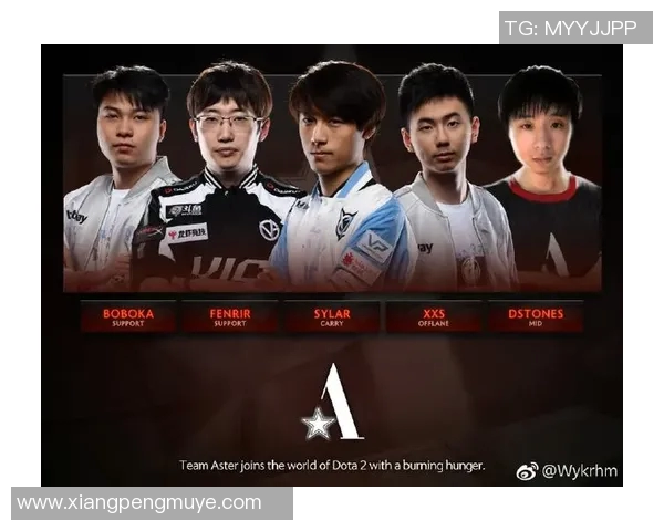 DOTA2比赛经验排行榜揭晓WE战队荣登第八名展现强大实力