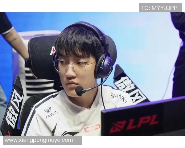 WE战队的荣耀与挑战：从奋斗到巅峰的特别报道