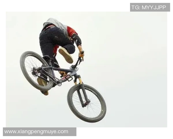 成都极限运动队节奏表现数据分析与提升策略探讨