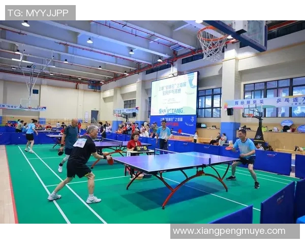 聚焦乒乓球重庆乒乓球队在意识提升与团队协作中的探索与实践