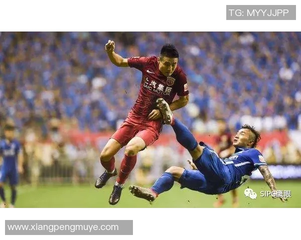 深圳排球队意识争议引发热议球迷与专家观点碰撞激烈